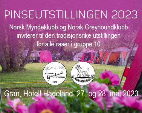 Myndekonferanse