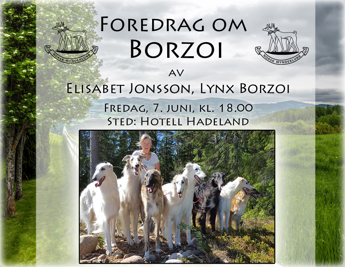 foredrag om borzoi