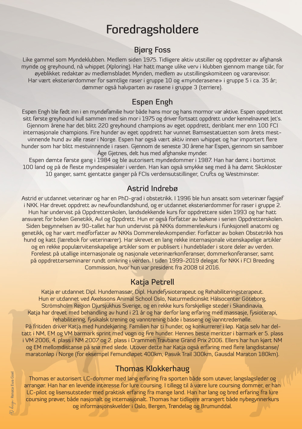 myndekonferanse program web 2