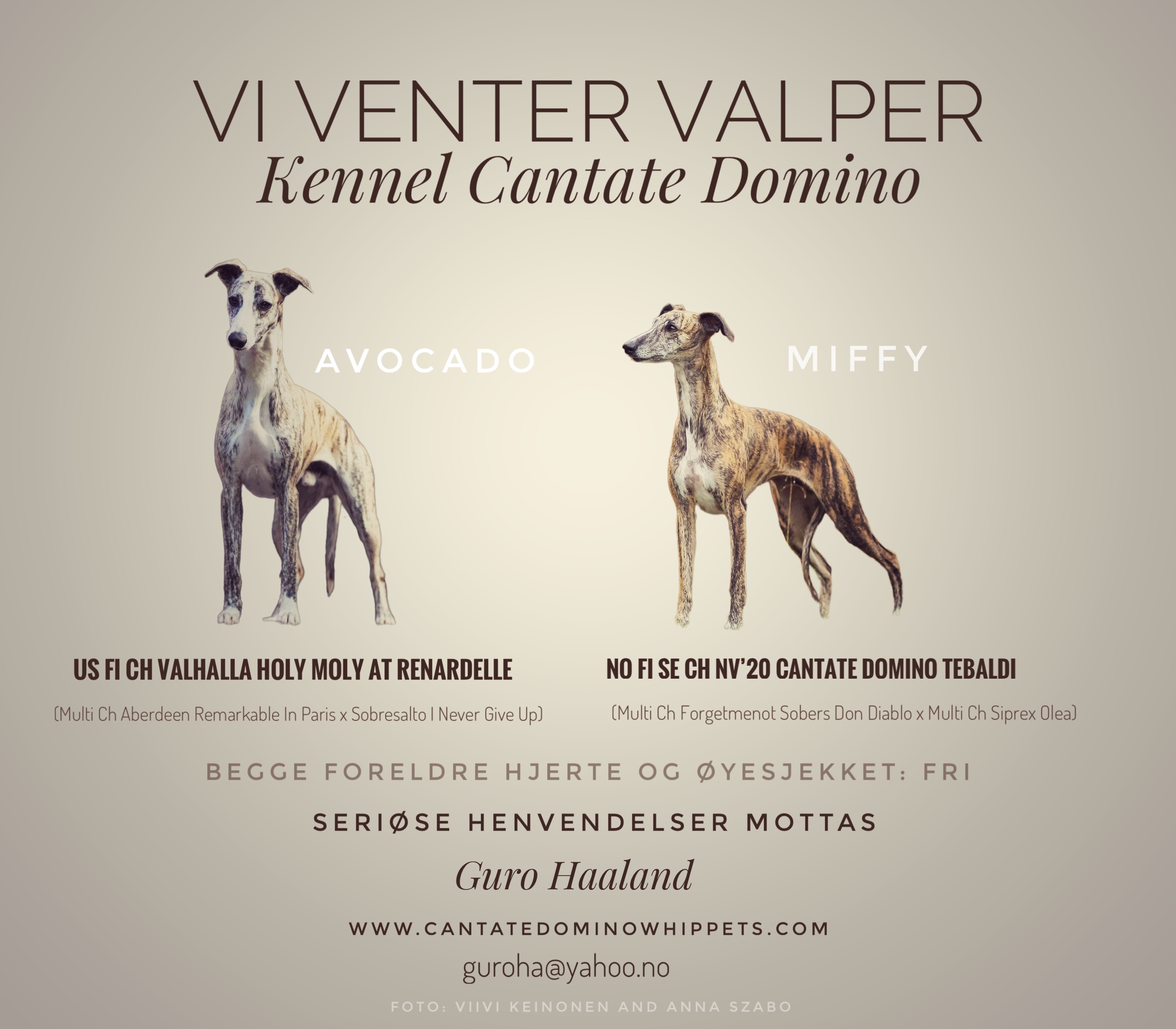 Cantate Domino