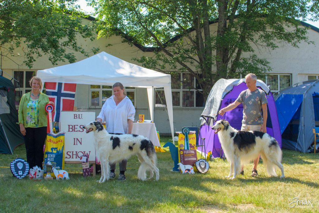 borzoi2018