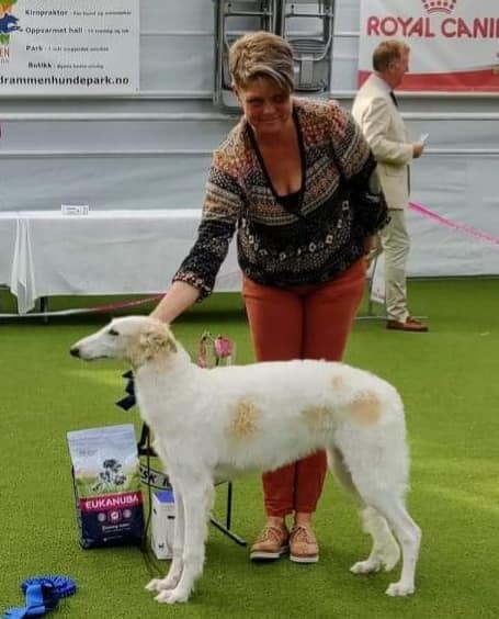 valp borzoi