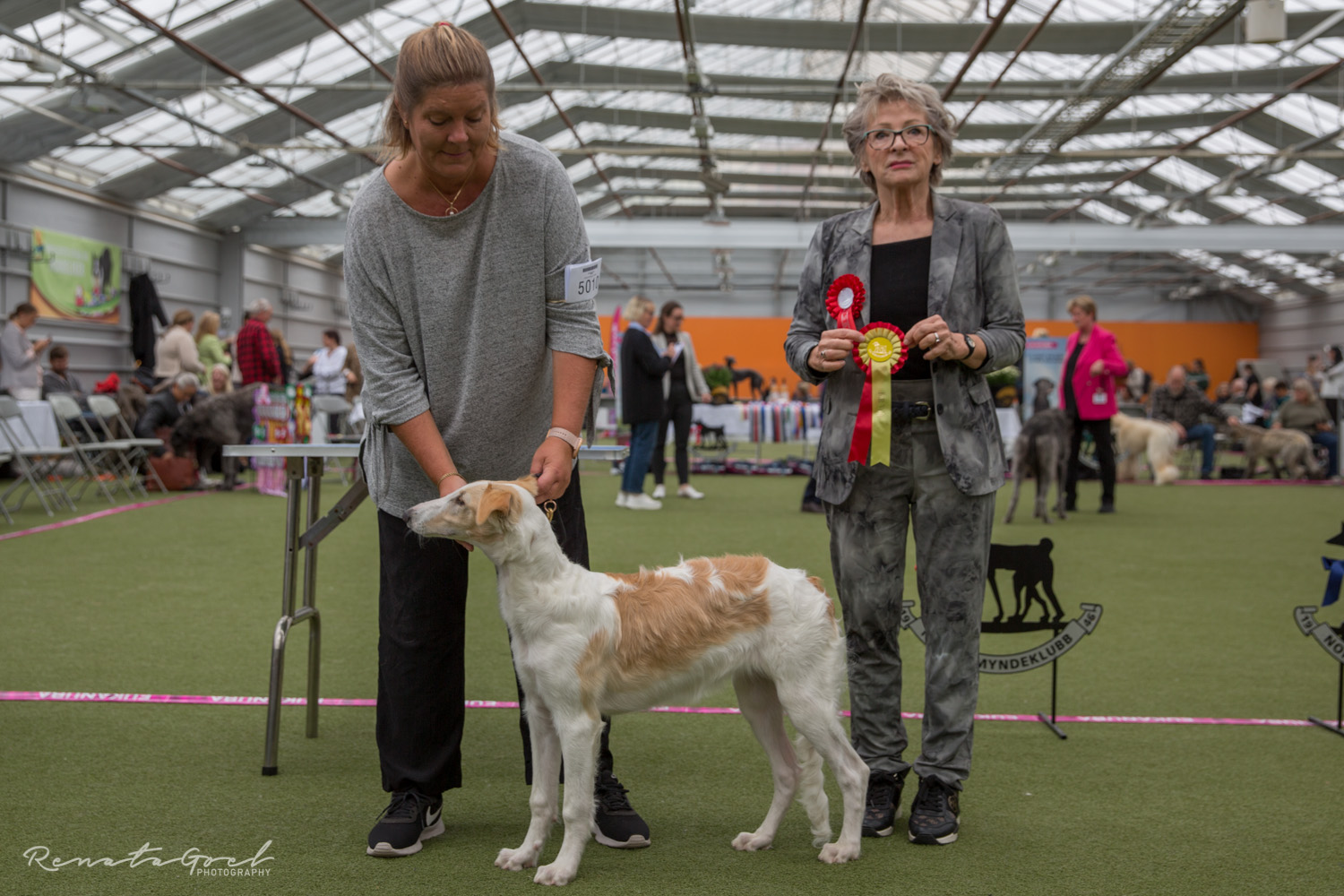 Borzoi valp